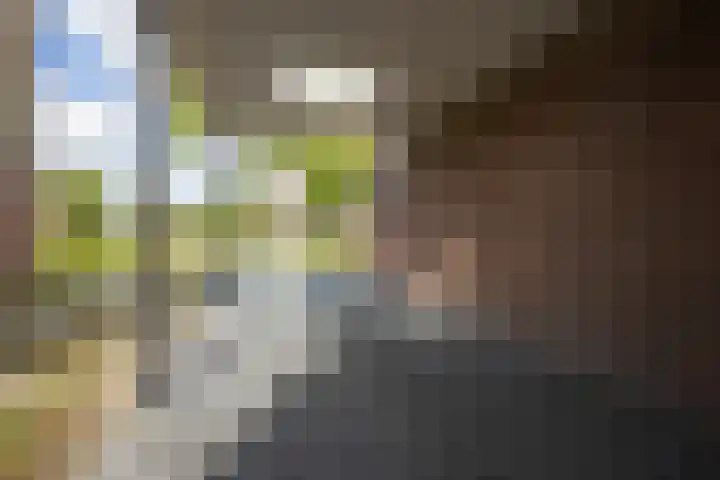 van Brederodestraat 23 Makkinga thumbnail 37