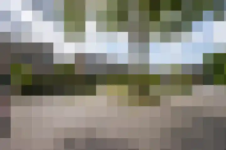 van Brederodestraat 23 Makkinga thumbnail 39