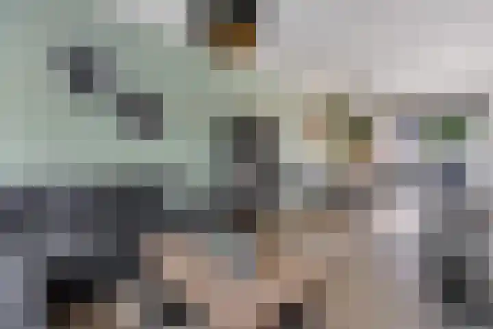 van Brederodestraat 23 Makkinga thumbnail 5