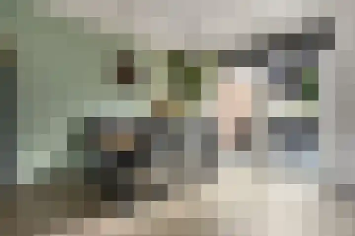 van Brederodestraat 23 Makkinga thumbnail 7