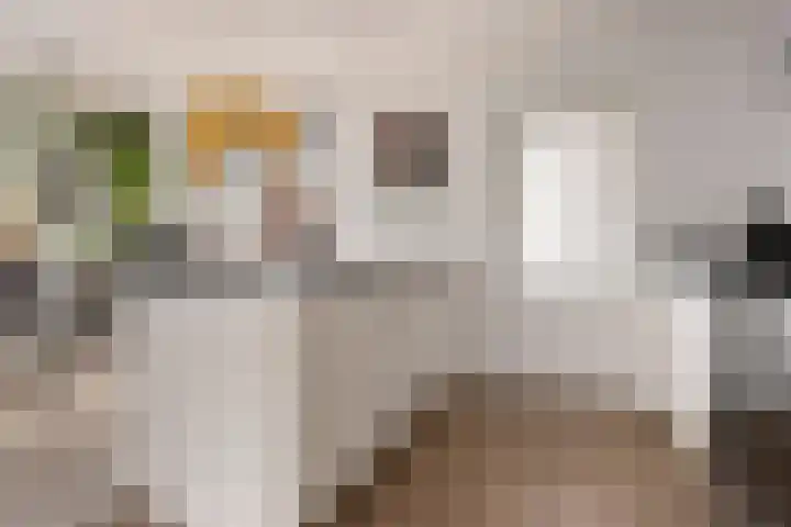 van Brederodestraat 23 Makkinga thumbnail 8