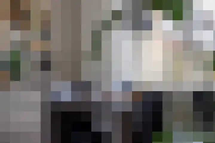 van Brederodestraat 30 Giessenburg thumbnail 8