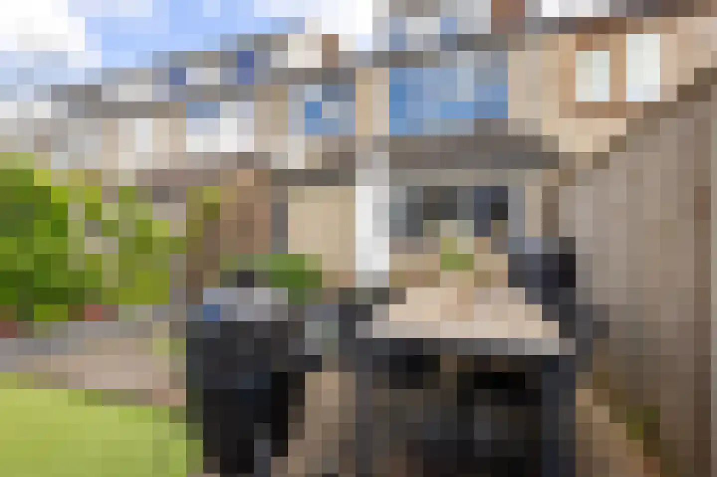 van Brederodestraat 38 Giessenburg thumbnail 32