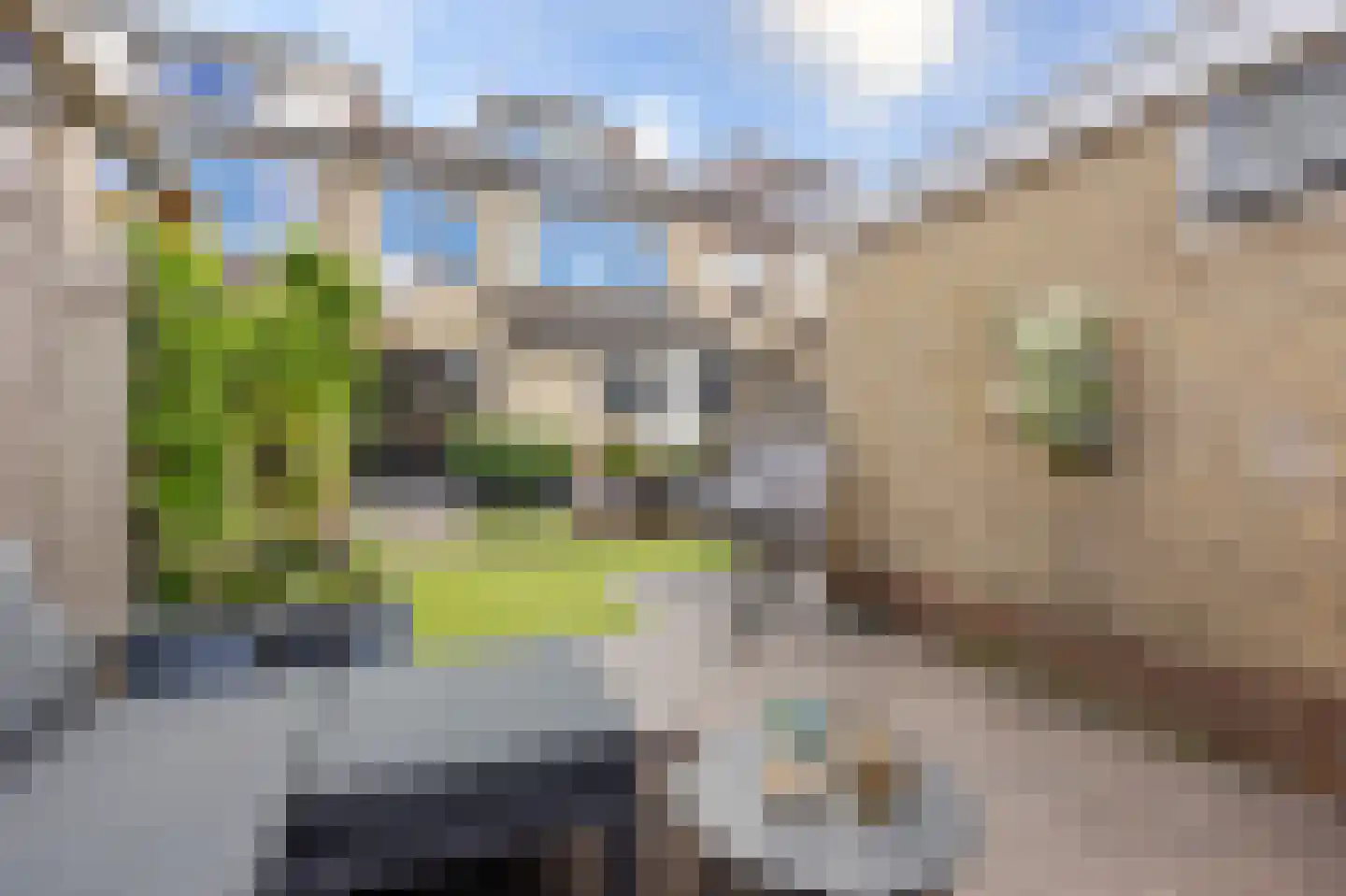 van Brederodestraat 38 Giessenburg thumbnail 33