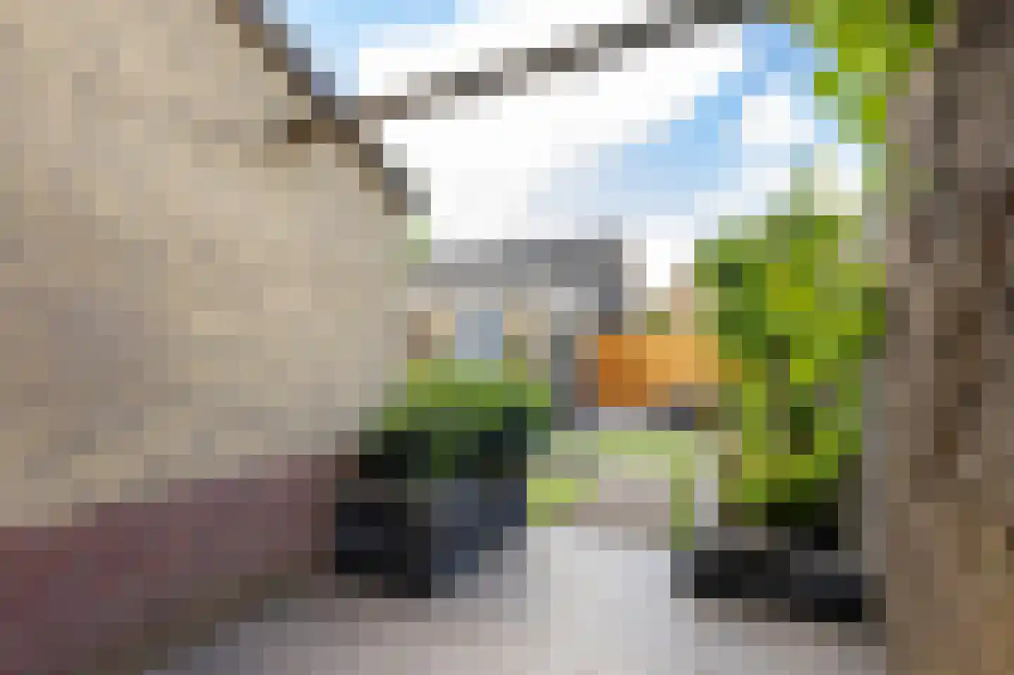 van Brederodestraat 38 Giessenburg thumbnail 35