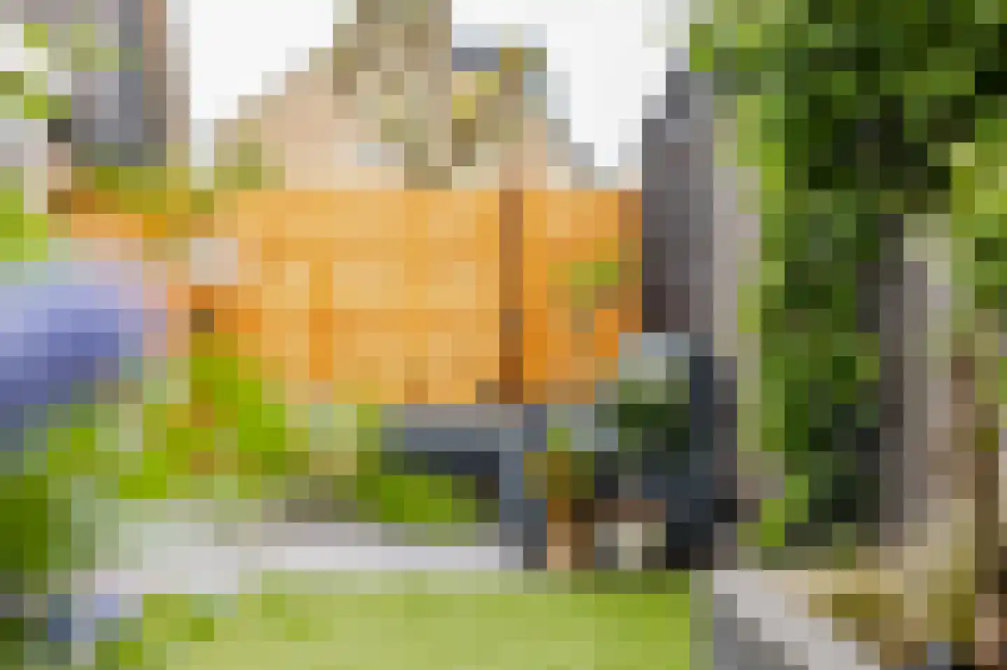 van Brederodestraat 38 Giessenburg thumbnail 36