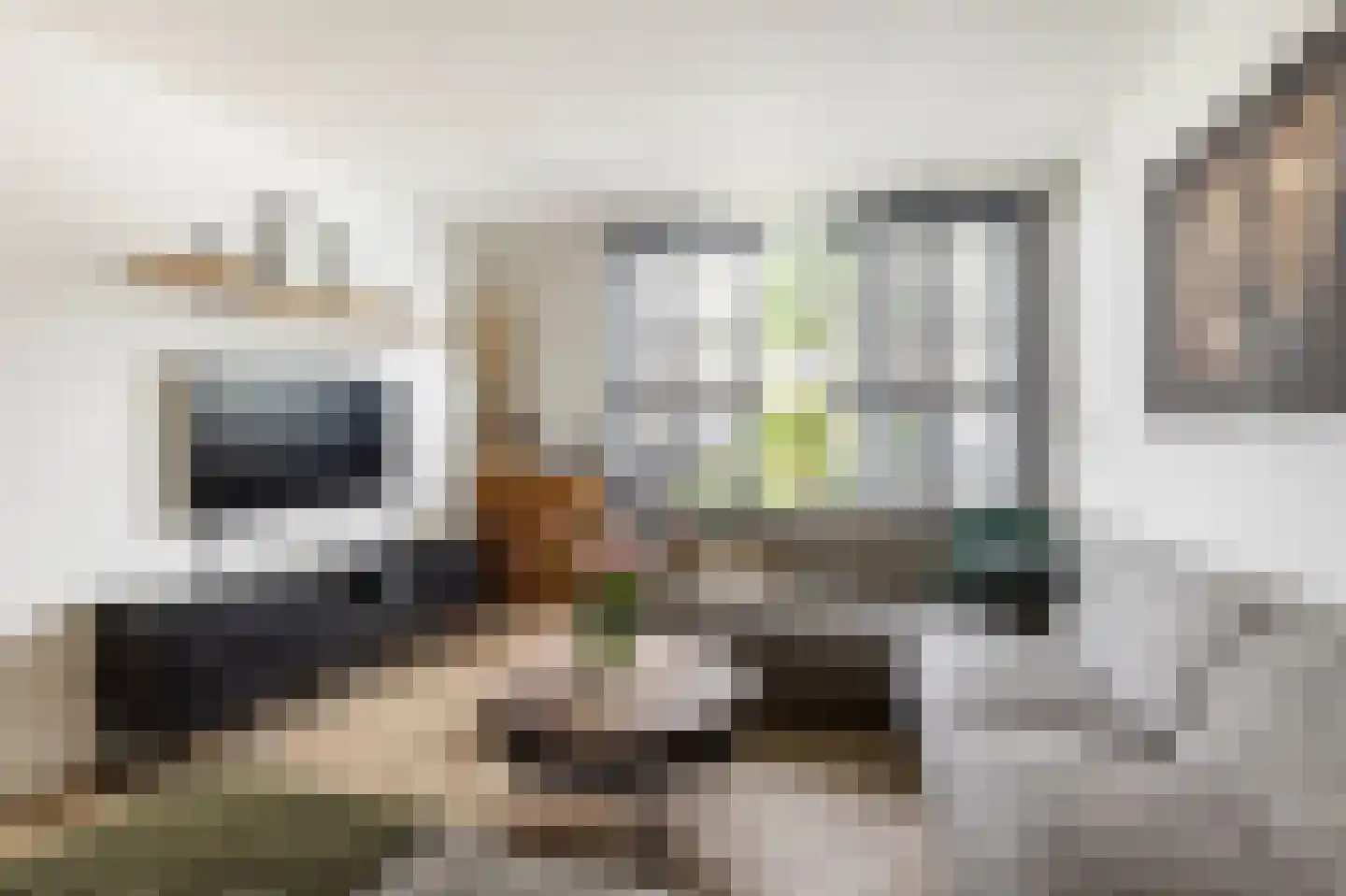van Brederodestraat 38 Giessenburg thumbnail 8