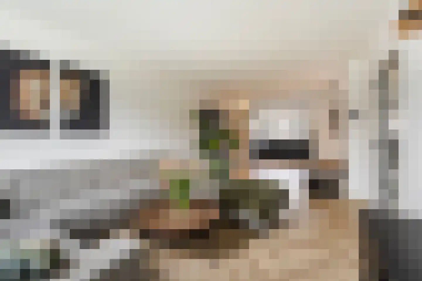 van Brederodestraat 38 Giessenburg thumbnail 9