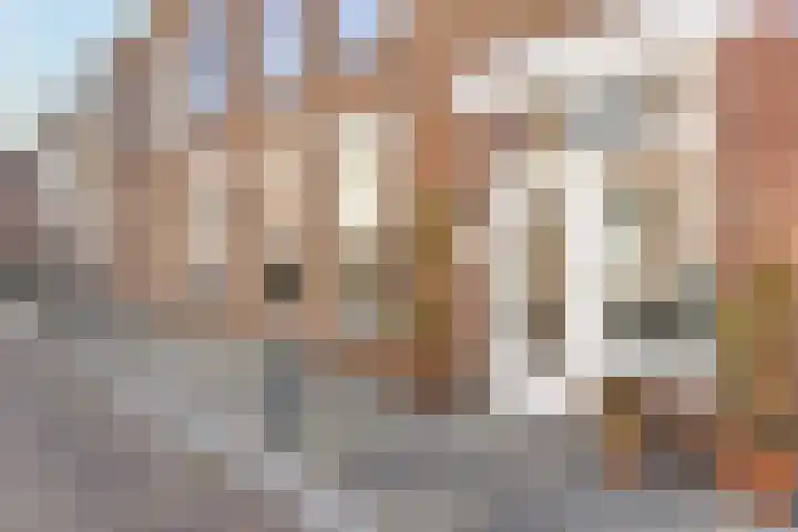 Van Brederodestraat 5 Den Haag thumbnail 25