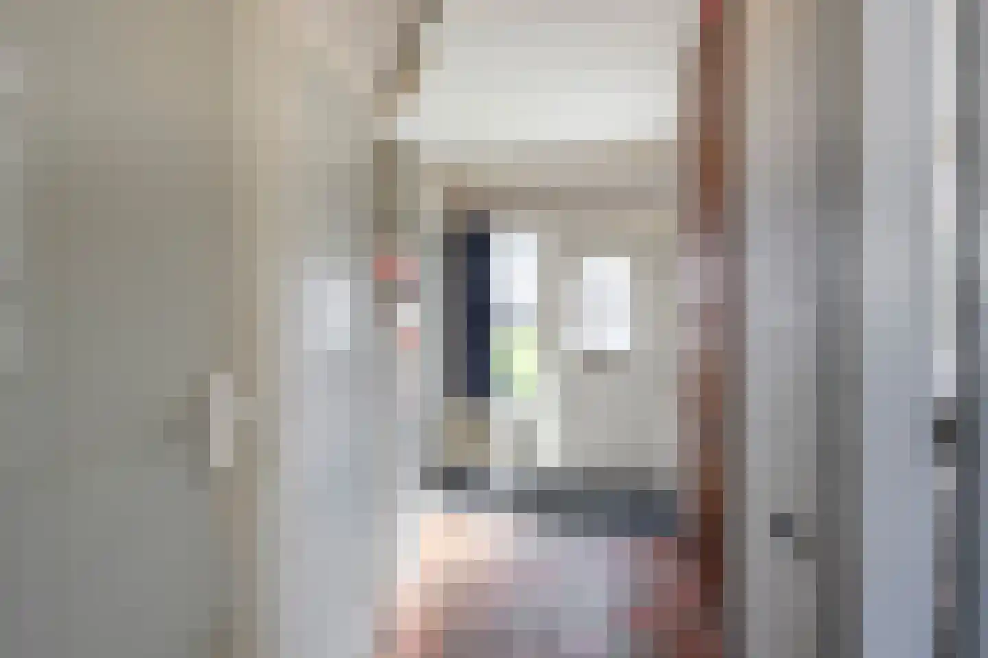 van Brederodestraat 6 Giessenburg thumbnail 15