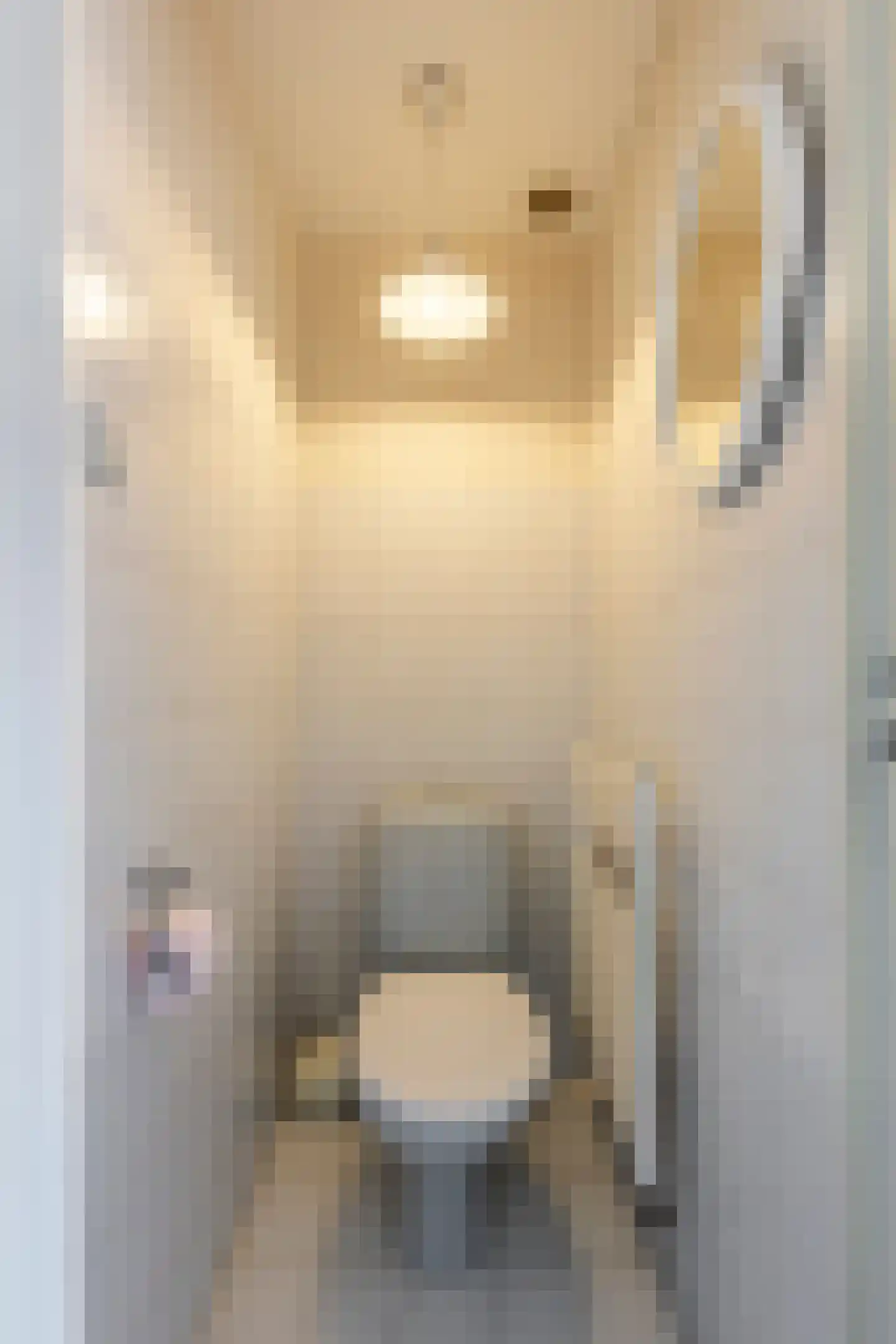 van Brederodestraat 6 Giessenburg thumbnail 16