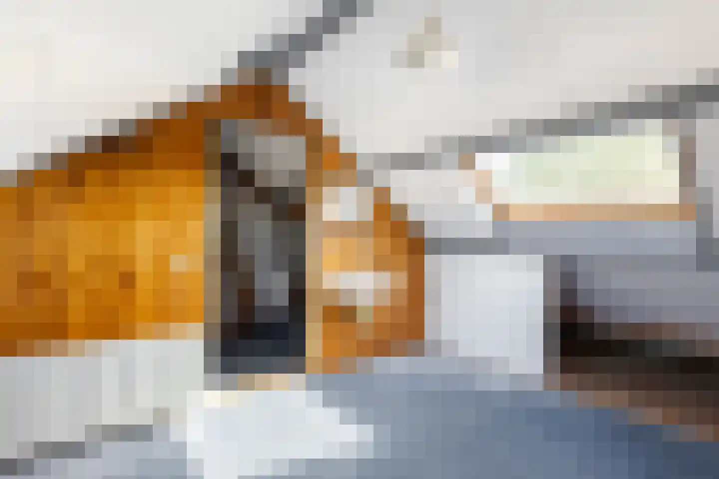 van Brederodestraat 6 Giessenburg thumbnail 27
