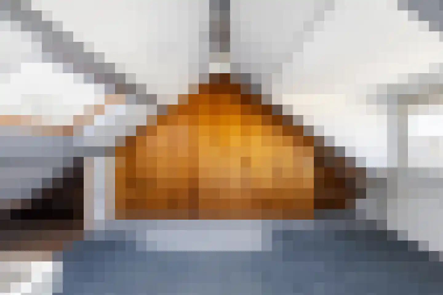 van Brederodestraat 6 Giessenburg thumbnail 28