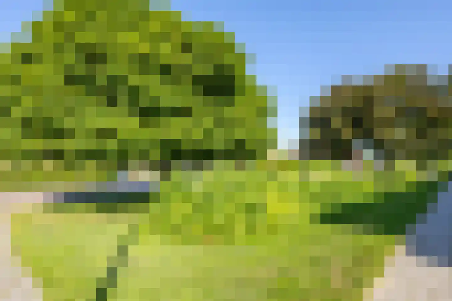 van Brederodestraat 6 Giessenburg thumbnail 35