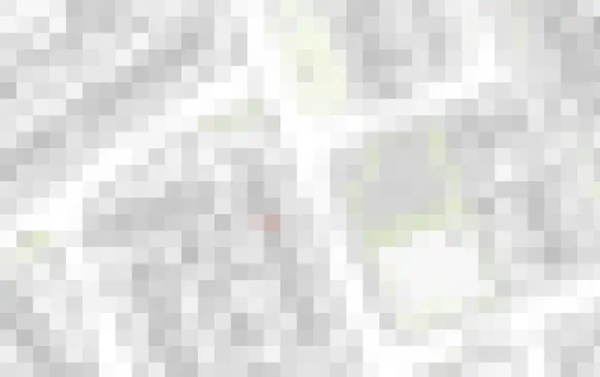 van Brederodestraat 6 Giessenburg thumbnail 5