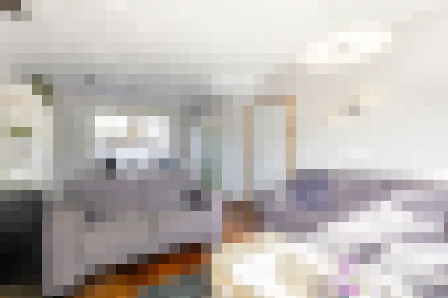 van Brederodestraat 6 Giessenburg thumbnail 7