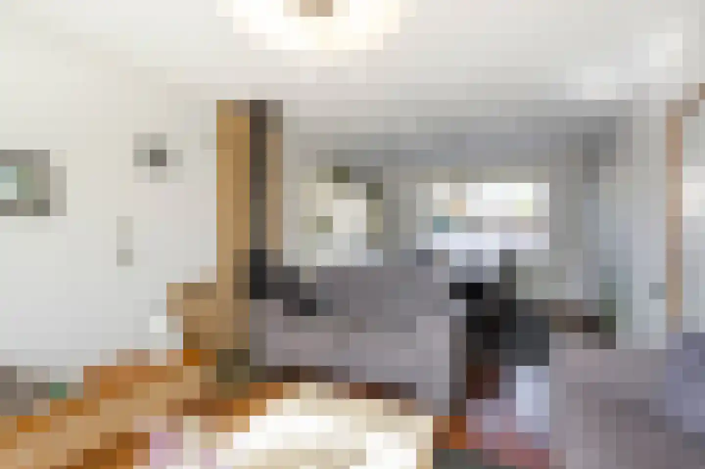 van Brederodestraat 6 Giessenburg thumbnail 8