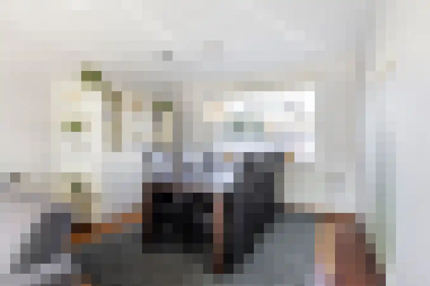 van Brederodestraat 6 Giessenburg thumbnail 9