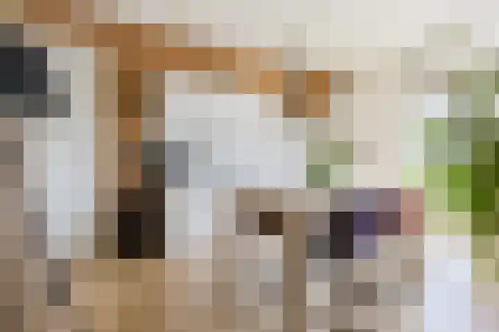van Brederodestraat 63 Makkinga thumbnail 22