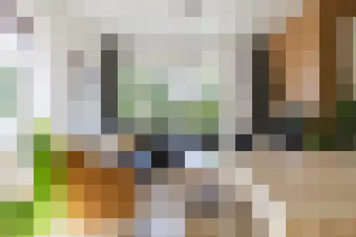 van Brederodestraat 63 Makkinga thumbnail 26