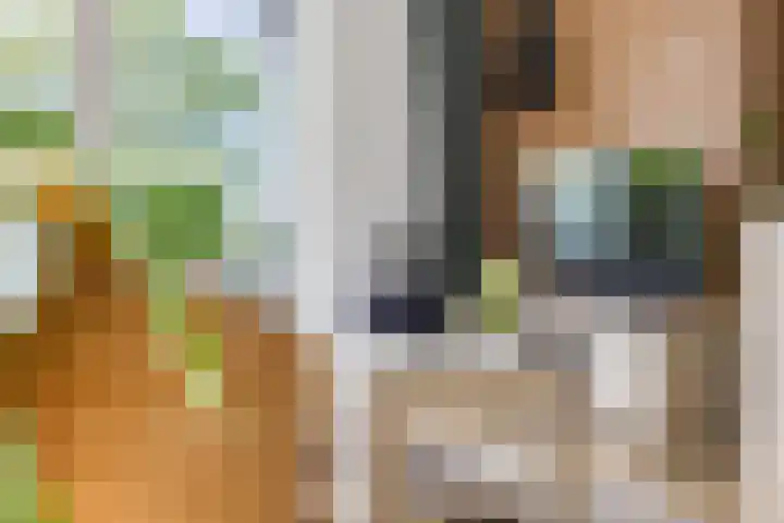 van Brederodestraat 63 Makkinga thumbnail 27
