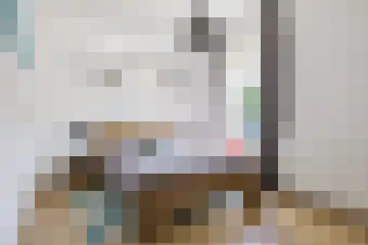 van Brederodestraat 63 Makkinga thumbnail 32