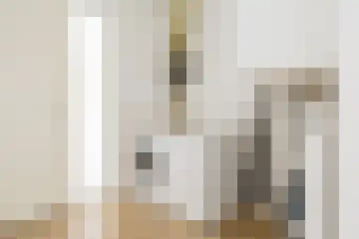 van Brederodestraat 63 Makkinga thumbnail 38