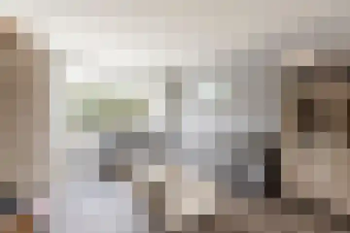 Van Brederodestraat 66 Noordeloos thumbnail 13