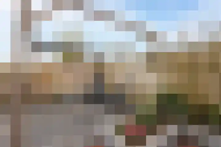 Van Brederodestraat 66 Noordeloos thumbnail 32