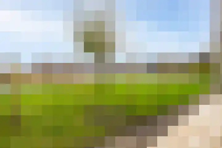 Van Brederodestraat 66 Noordeloos thumbnail 36