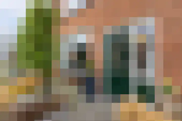 Van Brederodestraat 66 Noordeloos thumbnail 6