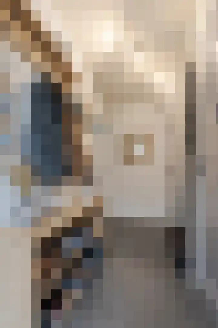 Van Brederodestraat 66 Noordeloos thumbnail 8