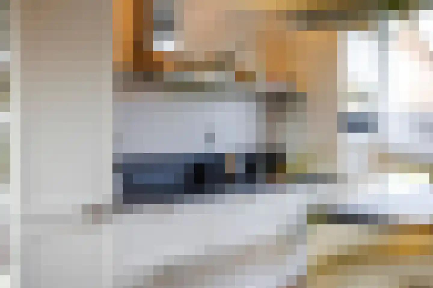van Brederodestraat 69 Giessenburg thumbnail 13