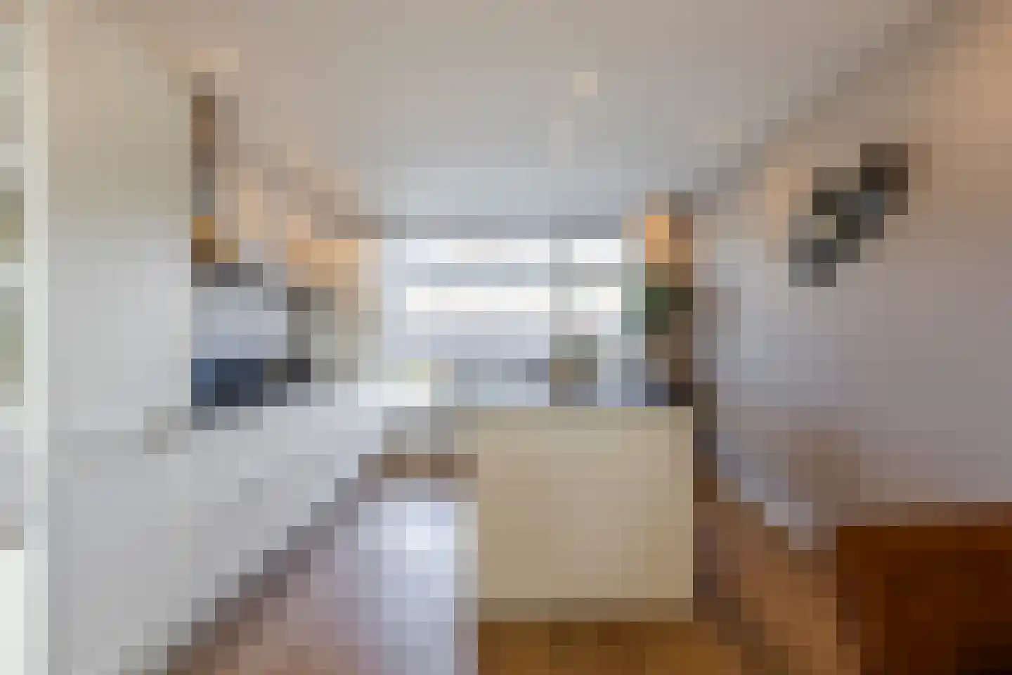 van Brederodestraat 69 Giessenburg thumbnail 15