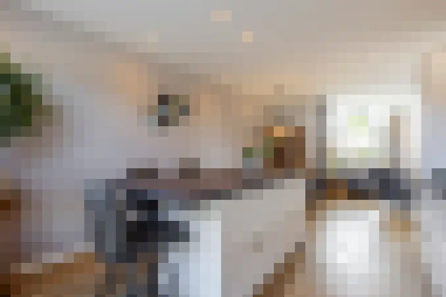 van Brederodestraat 69 Giessenburg thumbnail 17