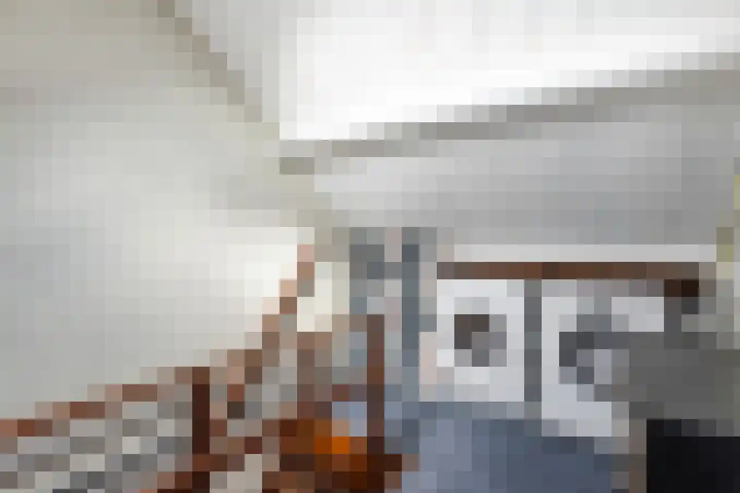 van Brederodestraat 69 Giessenburg thumbnail 30