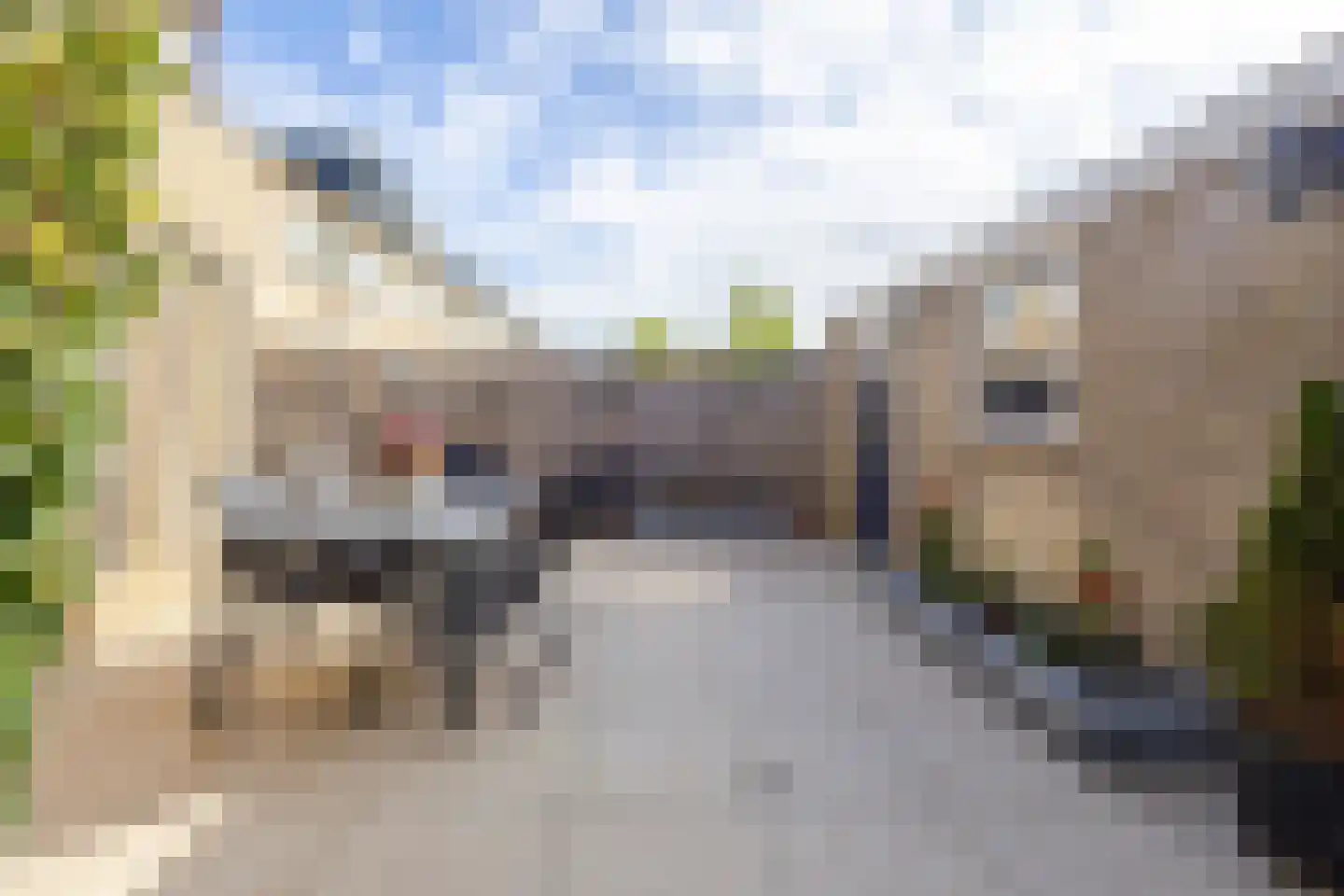 van Brederodestraat 69 Giessenburg thumbnail 34