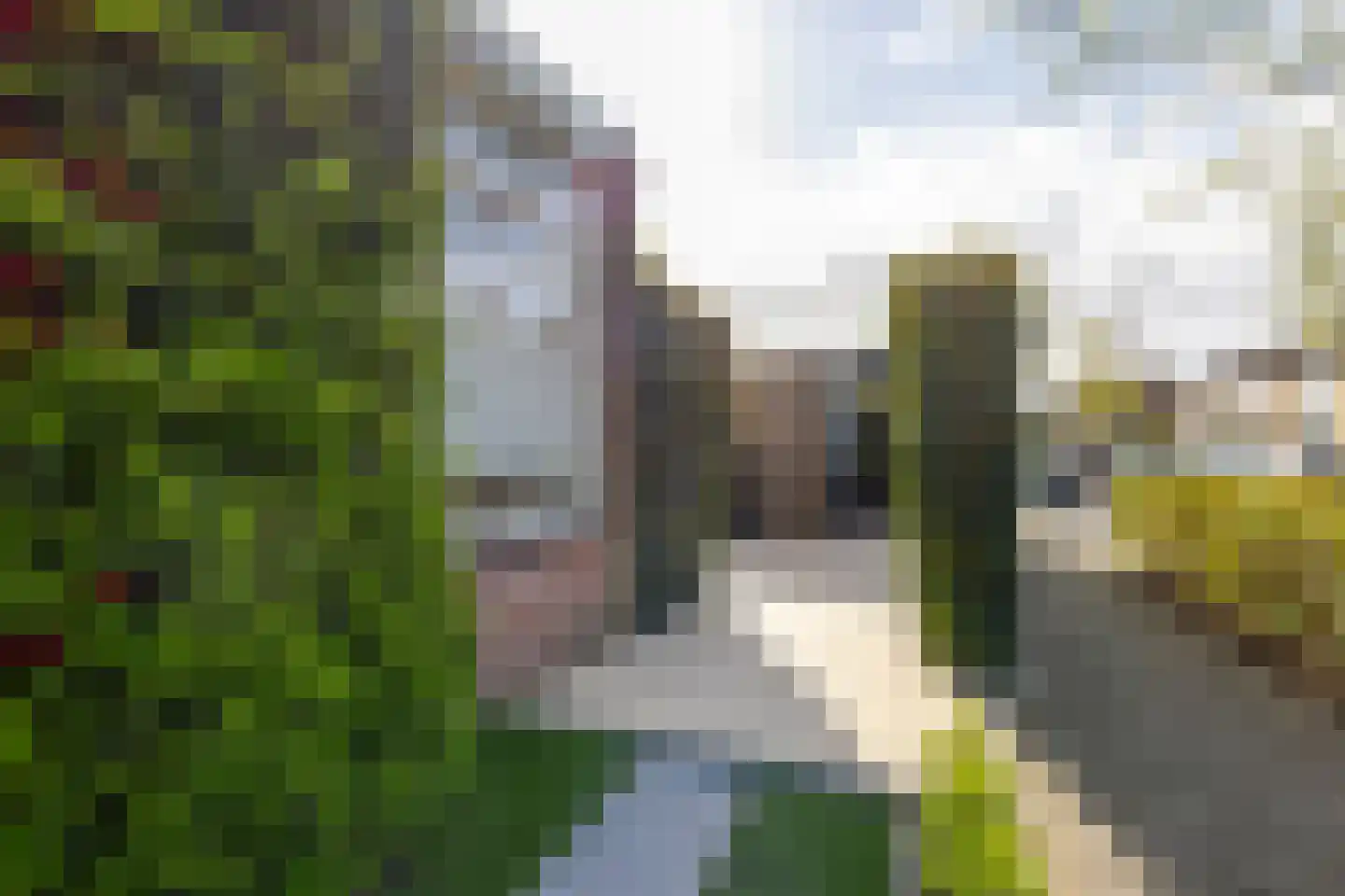 van Brederodestraat 69 Giessenburg thumbnail 35