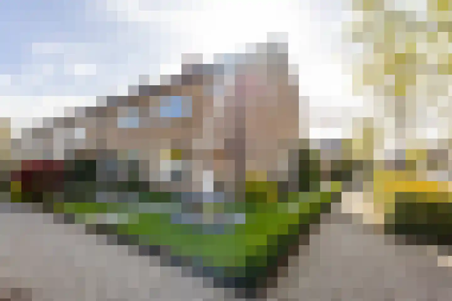 van Brederodestraat 69 Giessenburg thumbnail 38