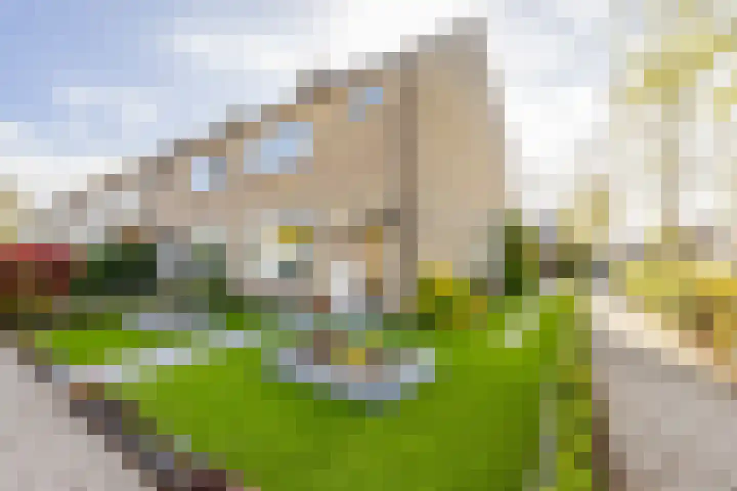 van Brederodestraat 69 Giessenburg thumbnail 39