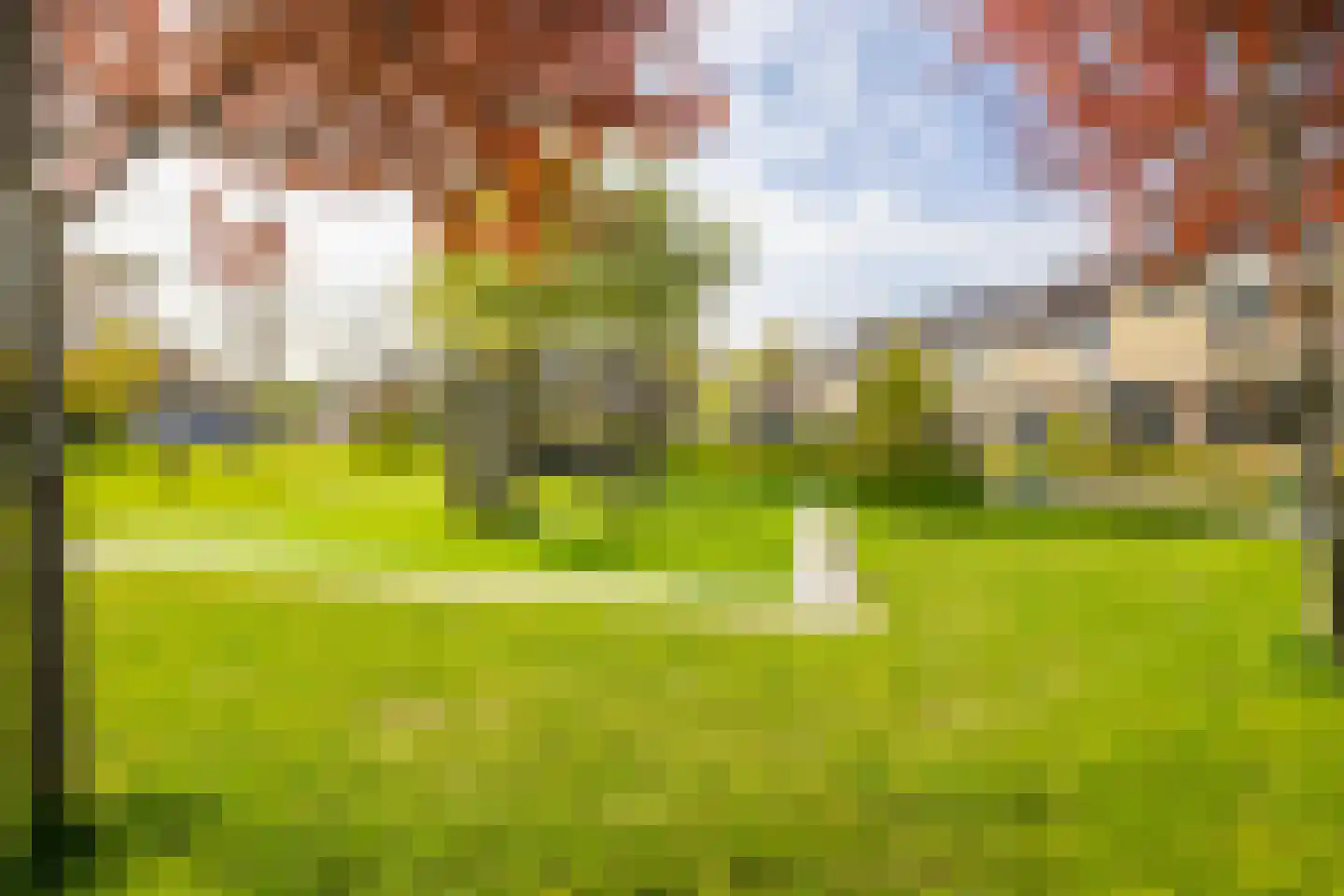 van Brederodestraat 69 Giessenburg thumbnail 46
