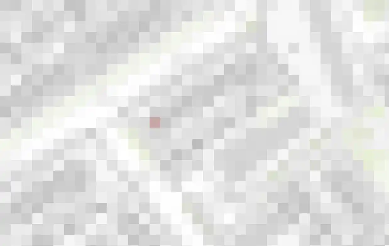 van Brederodestraat 69 Giessenburg thumbnail 6