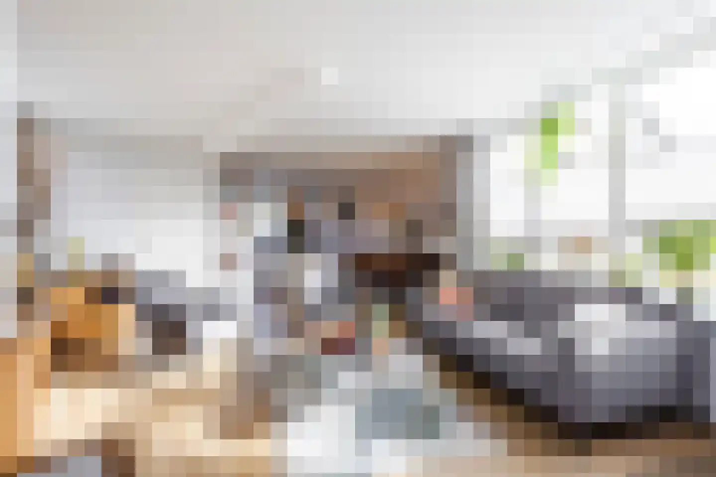van Brederodestraat 69 Giessenburg thumbnail 9