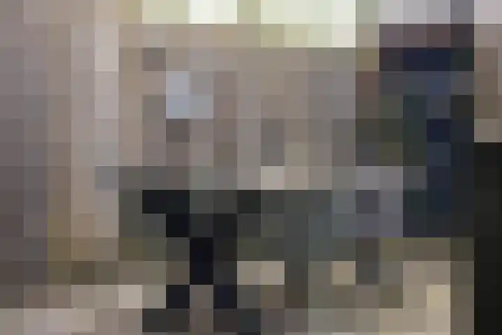 van Brederodestraat 79 Giessenburg thumbnail 35