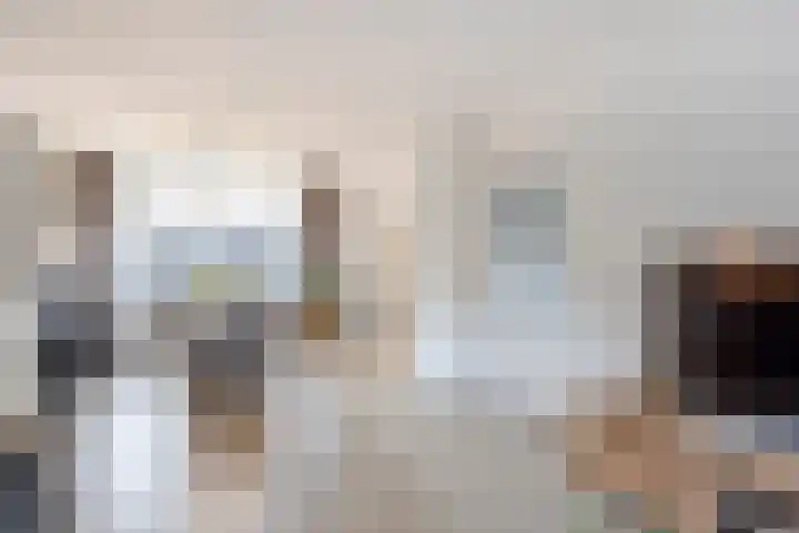 van Brederodestraat 79 Giessenburg thumbnail 9