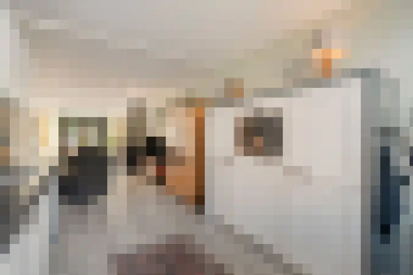 Van Brederodestraat 80 Callantsoog thumbnail 22