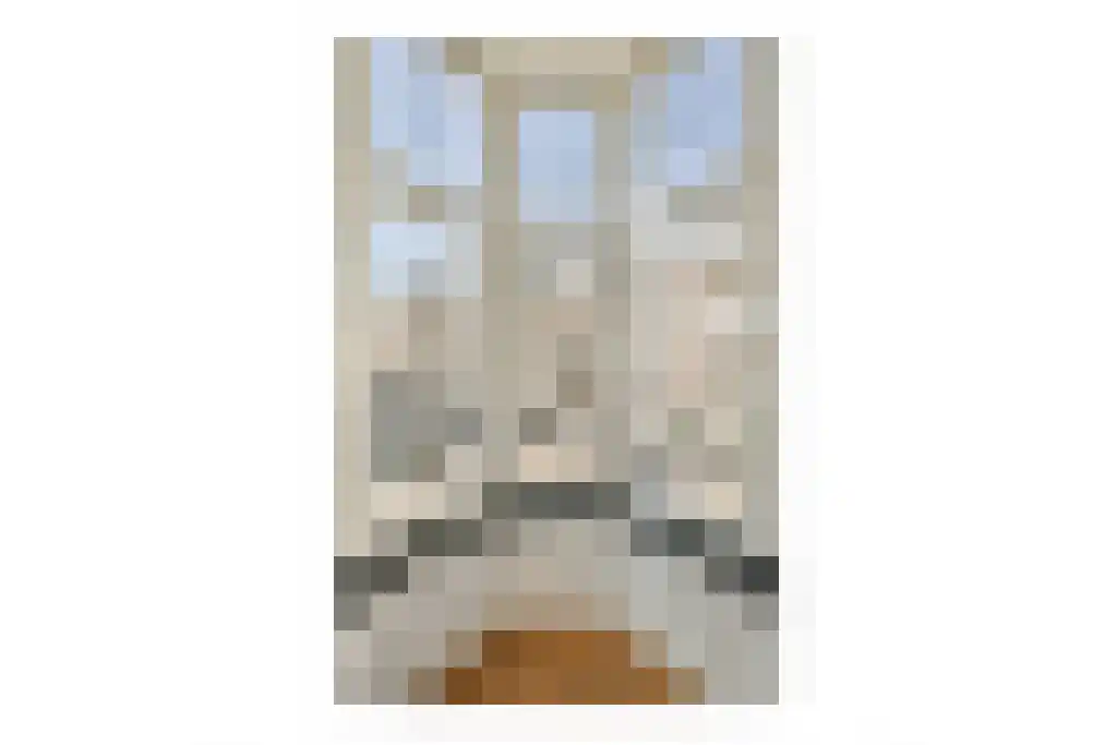 Van Breestraat 107 Amsterdam thumbnail 4