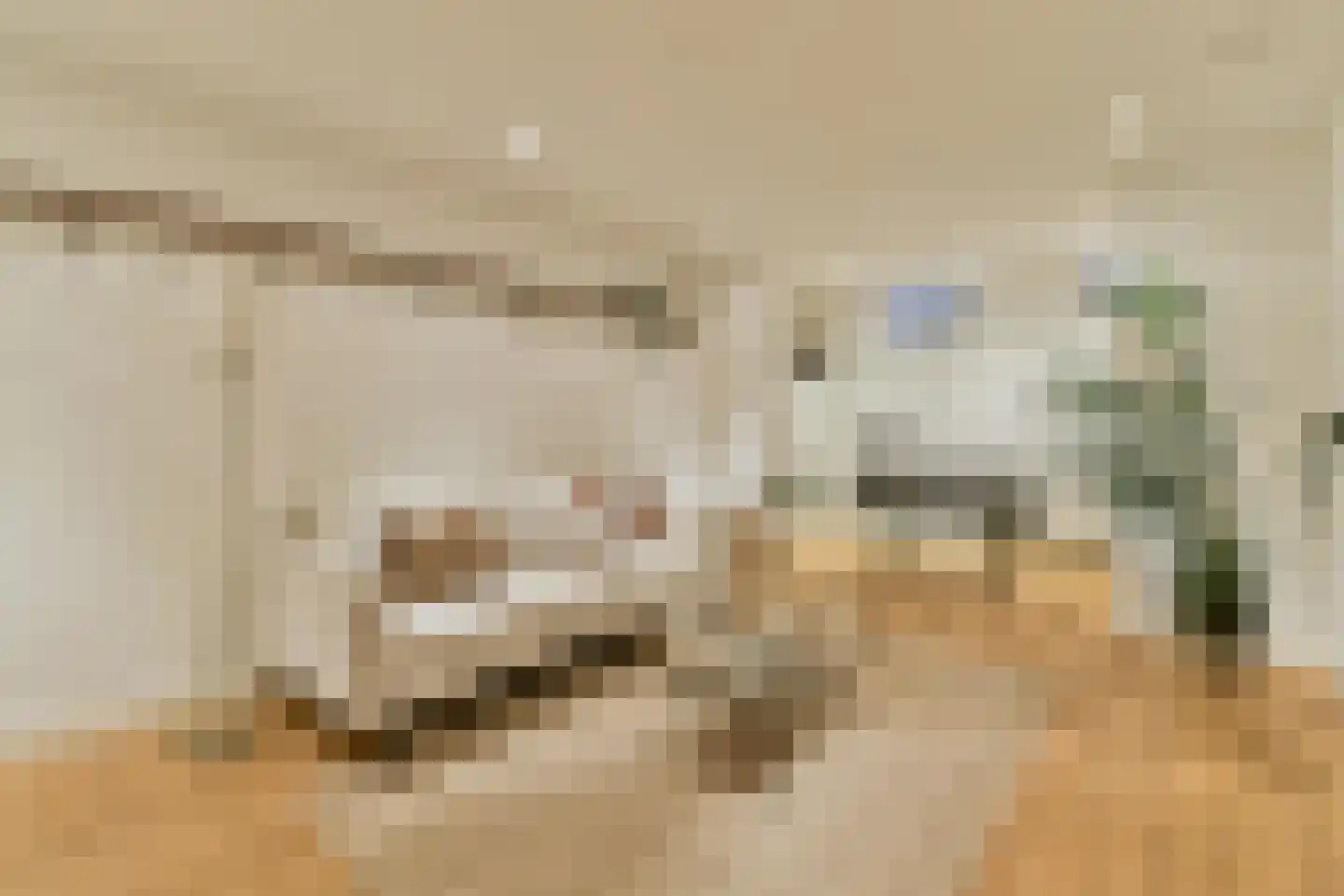 Van Breestraat 109 2 Amsterdam thumbnail 31