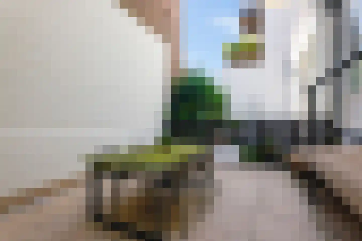 Van Breestraat 109 H Amsterdam thumbnail 13