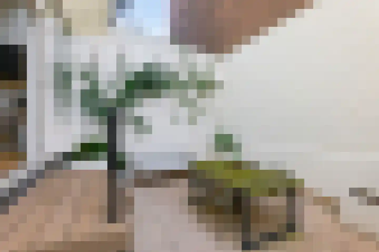 Van Breestraat 109 H Amsterdam thumbnail 14